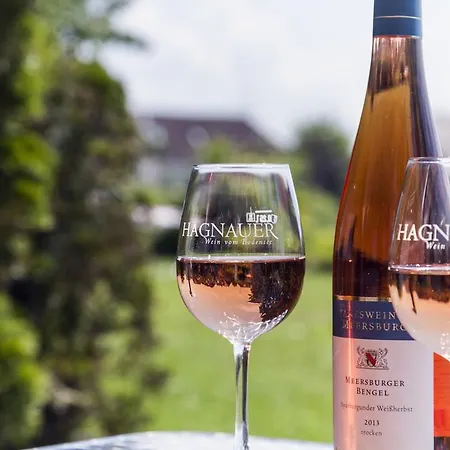 Restaurant Hansjakob 호텔 하그나우